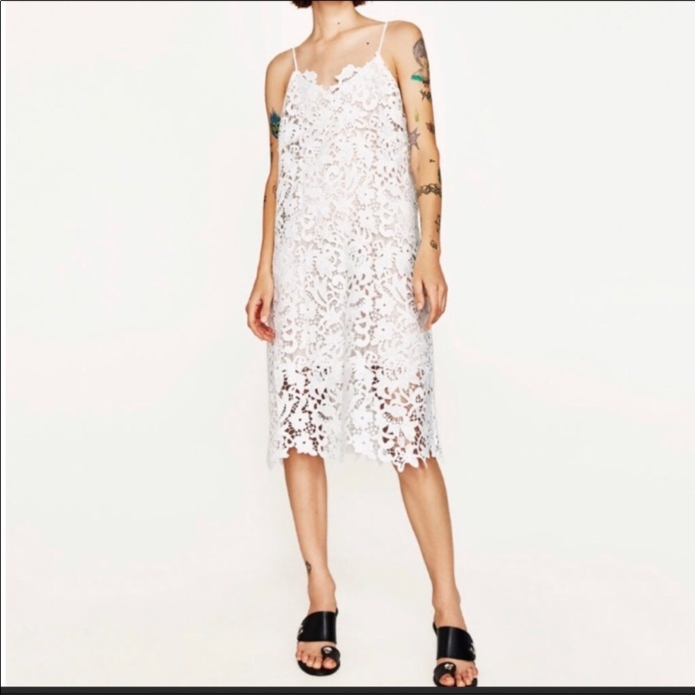 🌵🌹Gorgeous NWT Dress by Zara  size small - Picture 3 of 8